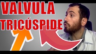 Conheça sua valvula tricúspide [upl. by Nave]