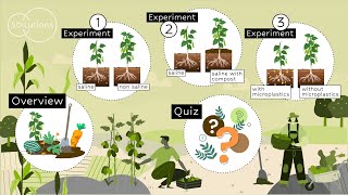 Soil salinization and plant growth DIY experiments [upl. by Odoric]