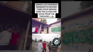 chicanofoos chicano sureno norteno hoodvlogs [upl. by Colp]