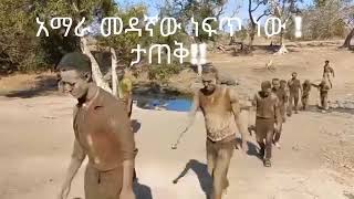 ትግሉ እስከ ቀራኒዮ ነው አማራ ታጠቅ ፣ መክት ፣ አንክት 🦾 Ethio251Media Ethio360 ethioforumኢትዮፎረም [upl. by Nnairol492]