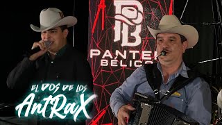 Los Alegres Del Barranco X Panter Bélico  El Dos De Los Antrax en vivo [upl. by Odine]