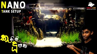 Nano Planted Tank Setup For Shrimps Sri Lanka [upl. by Garrick]