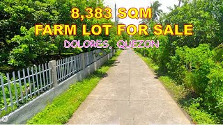 FARM LOT FOR SALE  PROP 87  8383 SQM  DOLORES QUEZON [upl. by Lough]