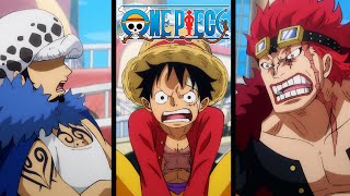 Luffy Kid and Law Fight Over Directions  One Piece [upl. by Josee]