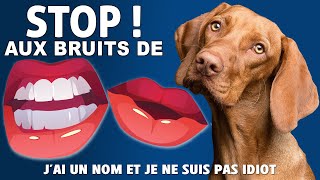 Ton CHIEN a UN NOM alors UTILISELE [upl. by Esirehc]