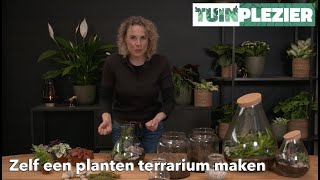 Zelf een planten terrarium maken  TUINPLEZIER [upl. by Leopoldine]