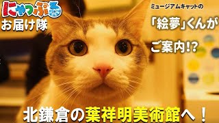 【にゃっぷるお届け隊】北鎌倉・葉祥明美術館のミュージアムキャット・絵夢くんが可愛すぎました ねこ葉祥明美術館にゃっぷるお届け隊 看板猫ねこのいる生活猫動画猫さんぽにゃっぷる鎌倉 [upl. by Suhploda]