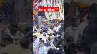 Shri Banke Bihari teri Aarti Gaun shorts youtubeshorts bankebihari vrindavan aarti krishna [upl. by Wobniar131]