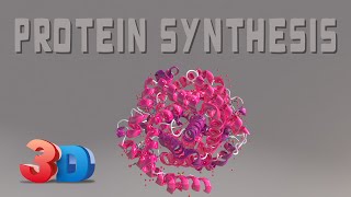 Protein Synthesis 101 3D Animation [upl. by Lenneuq]