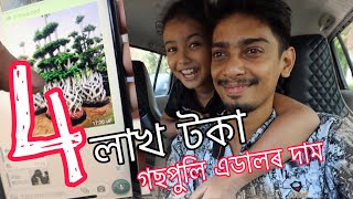 Welcome to Daffodil college and nursery  এডাল পুলি  4 লাখ টকা [upl. by Ultan]