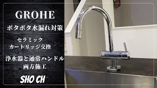 GROHEの水栓 水漏れ対策 セラミックカートリッジ交換 F914ECOM [upl. by Harold]