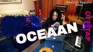 Racoon  Oceaan Dutch Version Reaction [upl. by Maillliw]