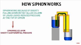 How siphon works [upl. by Rubie429]