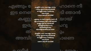 കണ്ണീർ പാടം  song lyricsshortfeed shorts trending songlyrics [upl. by Annadiana]