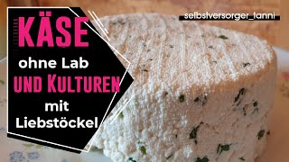 DIY Käse zuhause herstellen  Paneer selber machen  Käse ohne Kulturen  Käse ohne Lab herstellen [upl. by Anaul]