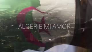 LAlgérino ALGERIE Mi Amor instrumental Lettre damour à mon pays [upl. by Annairol]