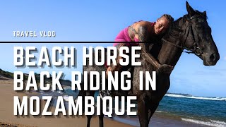 Horse Back Riding in Tofo Mozambique  TRAVEL VLOG [upl. by Newkirk]