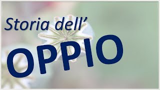 La storia dellOPPIO oppiacei oppioidi e il mondo dellanalgesia [upl. by Meares]