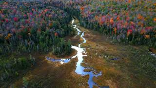 MacLeish Field Station  Fall 2023 IDP 109 [upl. by Oicaroh]