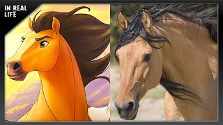 Spirit O Corcel Indomável na Vida Real  Spirit Stallion of the Cimarron In Real Life [upl. by Sweyn]