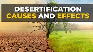 Desertification Causes and Effects  Desertification  What Is Desertification [upl. by Ollayos]