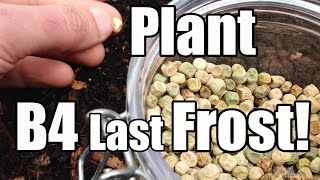 7 Crops to Plant Outside Before the Last Frost 36  Zone 5 [upl. by Ilsa]