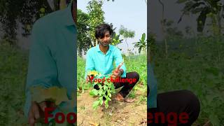 আজকে আমি খাবো মাঠের ৫ টি খাবার minivlog sumanvlogfml shortvideo vlog mini [upl. by Azrim]