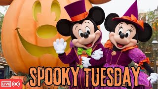 Back at Disneyland Halloween Time Screams Projections  Live Stream 2024 [upl. by Lipps682]