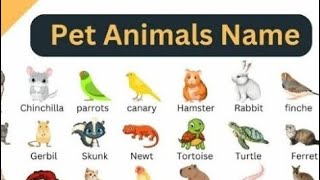 Pet animals name with picture Petanimalsname english [upl. by Llehcim]