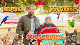 Delhi Cheap Price Pet Market  2024  Lal Qila Pet Market  Part  19  Persian Cat  Parrot [upl. by Ardeid618]