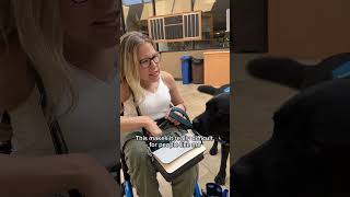 Ableism Disabled Disability Dwarfism Wheelchair Educating Education Mobility Prosthesis [upl. by Bywoods441]