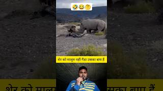 शेर को मालूम नहीं गैंडा उसका बाप हैं 🤔✅ shorts lion rhinoceros animal animalshorts [upl. by Hannahoj]