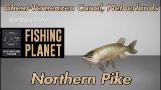 Fishing Planet Northern Pike GhentTerneuzen Canal Netherlands [upl. by Gordy553]