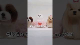 귀여워🐶 너는 넘넘넘넘넘넘❤️ [upl. by Innus]