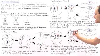 Aneuploidy and Nondisjunction Part II [upl. by Amocat]