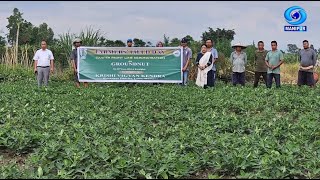 Agriculture ProgrammeCluster Frontline Demonstration on Improved Cultivation Practice of Groundnut [upl. by Ratna]