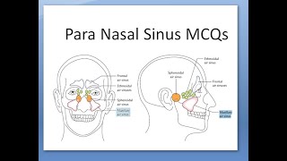 ENT ParaNasal Sinus MCQs NEETPG [upl. by Zosema]