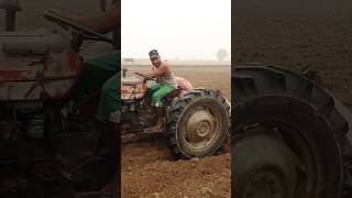 Pharming karte hue tractor 135 punjabi [upl. by Lodnar]