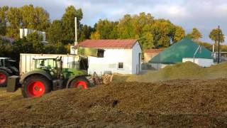 Mais Ernte 2013 häckseln für Biogasanlage Hennenweidach Teil 2HD [upl. by Dnaloy543]