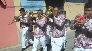 SON DE LA APETLANCA BANDA LA JOYA DE TILZAPOTLA CARNAVAL TILZAPOTLA 2016 [upl. by Aseretairam]