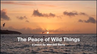 the peace of wild things a poem [upl. by Machute207]