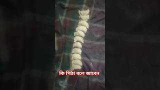 কি পিঠা food kitchen recipe foodblog [upl. by Anaz817]