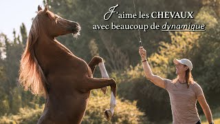 Frédéric • Le caractère des chevaux [upl. by Gnaht]