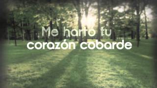 Aneeka  Demasiado Tarde Video Lyric [upl. by Colet]