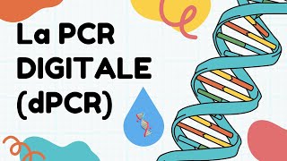 La PCR digitale ou dPCR [upl. by Aileda905]