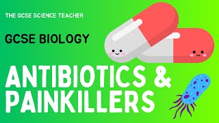 GCSE Biology Antibiotics and Painkillers  AQA OCR Edexcel [upl. by Llireva115]