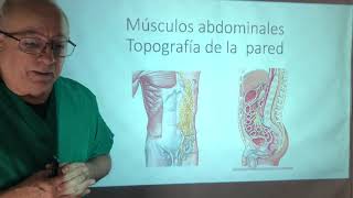 Músculos del abdomen Prensa abdominal maniobra de Valsalva [upl. by Suckram]