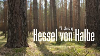 75 Jahrestag  Kesselschlacht von Halbe  WW2 Battlefield [upl. by Nitsu466]