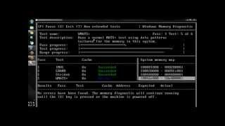 MS WinDiag Memory Diagnostics [upl. by Tench]