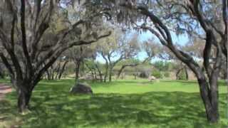 Kilimanjaro Safaris at Disneys Animal Kingdom [upl. by Farlie]